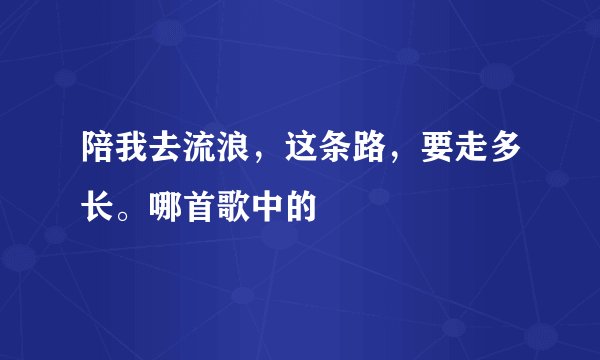 陪我去流浪,这条路,要走多长。哪首歌中的