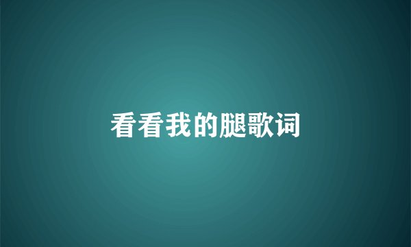 看看我的腿歌词