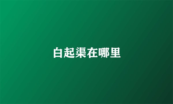 白起渠在哪里