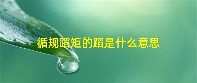 循规蹈矩的蹈是什么意思