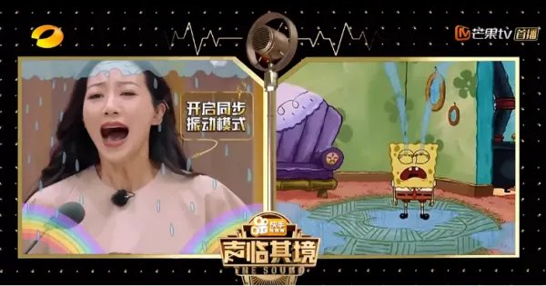 怎么评价综艺《声临其境》?