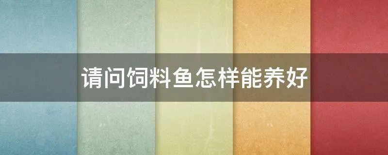 请问饲料鱼怎样能养好