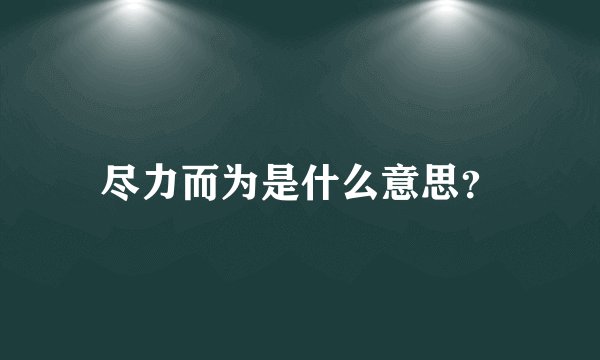 尽力而为是什么意思？