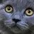 性格自成一派 天猫双十一买这些就对了