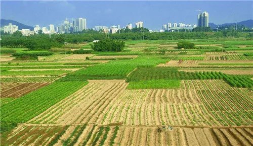 土地面积怎么算