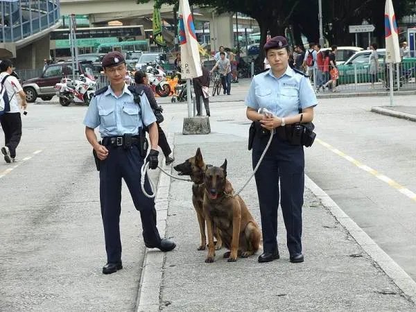 香港警服花