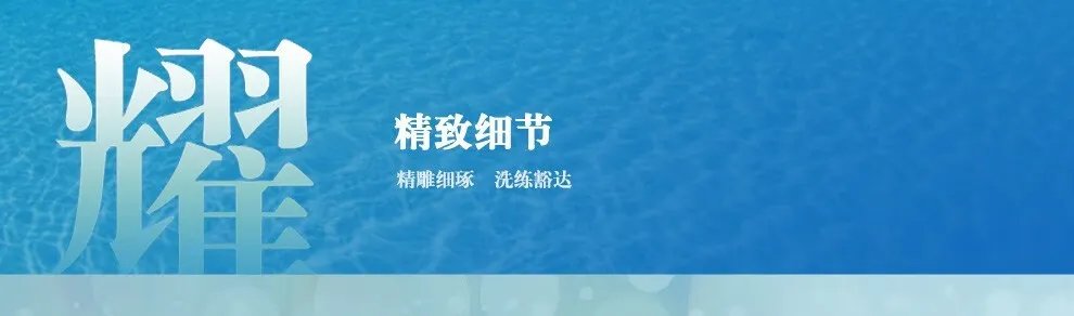 梦之蓝价格