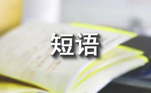 vary的用法和短语
