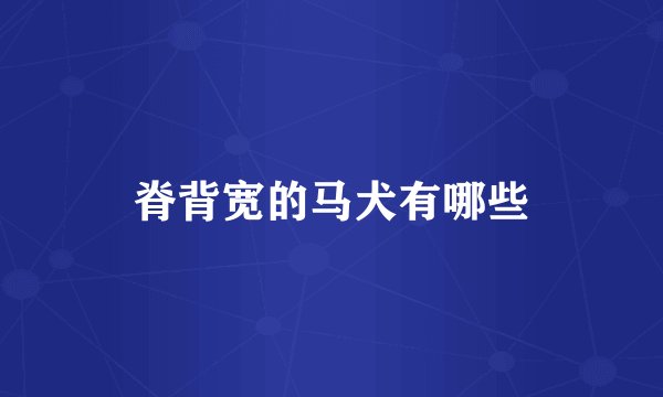 脊背宽的马犬有哪些