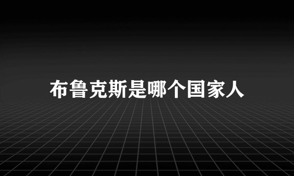 布鲁克斯是哪个国家人