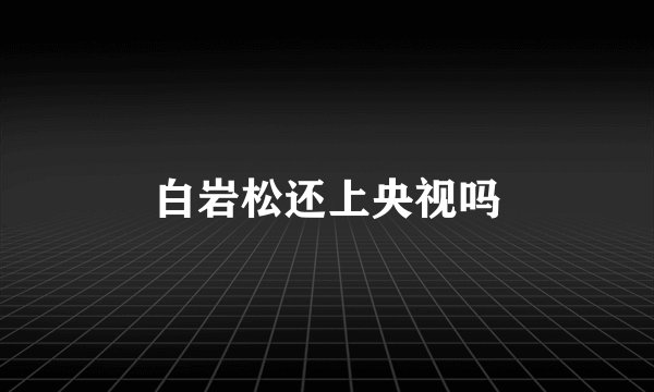 白岩松还上央视吗