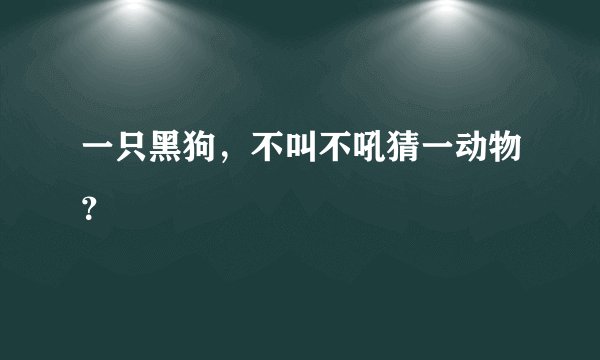 一只黑狗，不叫不吼猜一动物？