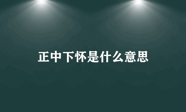 正中下怀是什么意思