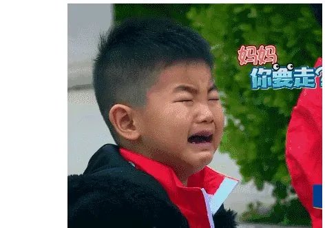 女婿和儿媳双双消失不见是怎么回事?