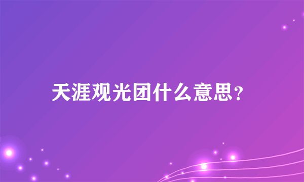 天涯观光团什么意思？