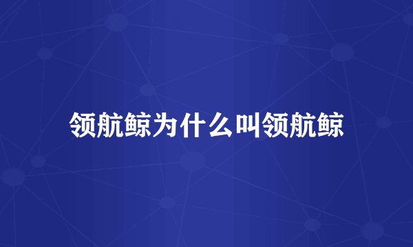 领航鲸为什么叫领航鲸