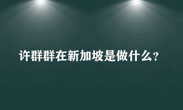 许群群在新加坡是做什么？