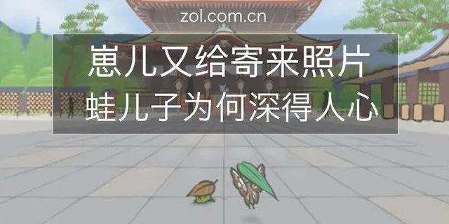 天天都在苦等照片 蛙儿子为何深得人心