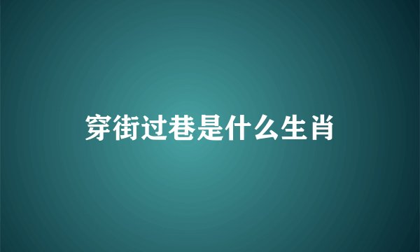 穿街过巷是什么生肖