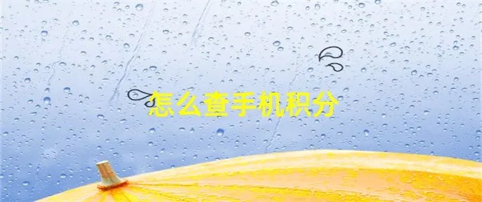 怎么查手机积分