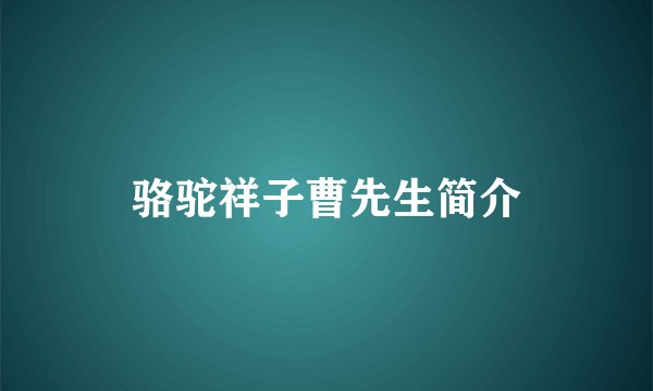 骆驼祥子曹先生简介