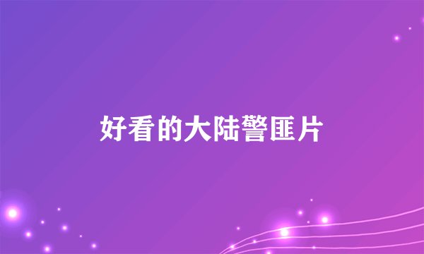 好看的大陆警匪片