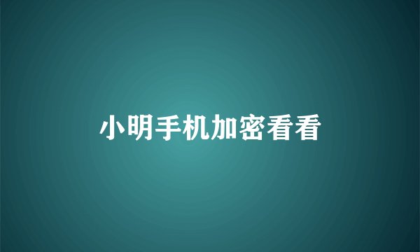 小明手机加密看看