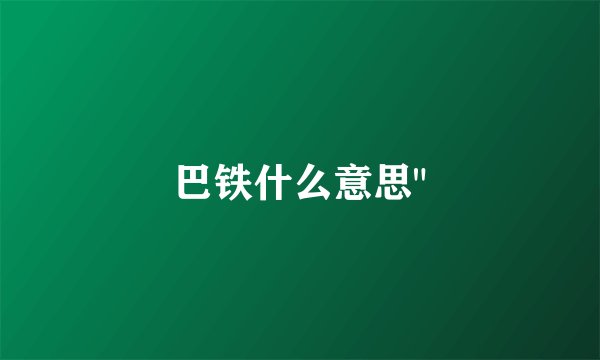 巴铁什么意思