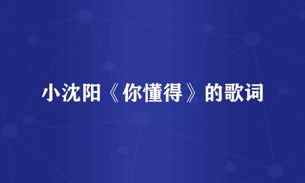 小沈阳《你懂得》的歌词
