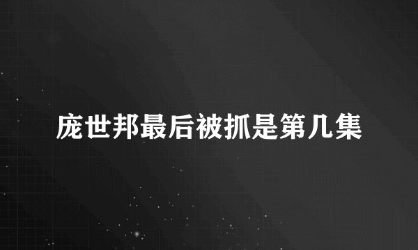 庞世邦最后被抓是第几集