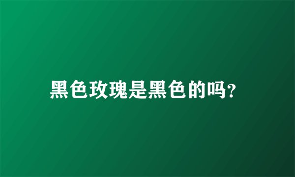 黑色玫瑰是黑色的吗？