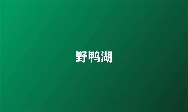 野鸭湖