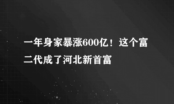 一年身家暴涨600亿！这个富二代成了河北新首富