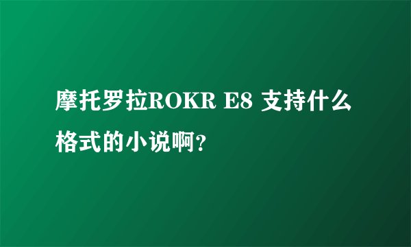 摩托罗拉ROKR E8 支持什么格式的小说啊？