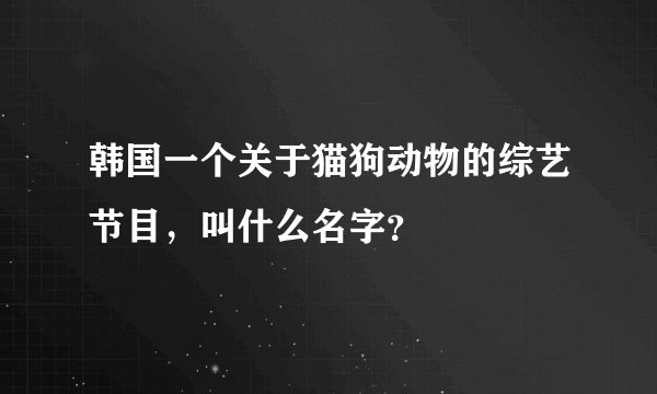 韩国一个关于猫狗动物的综艺节目，叫什么名字？