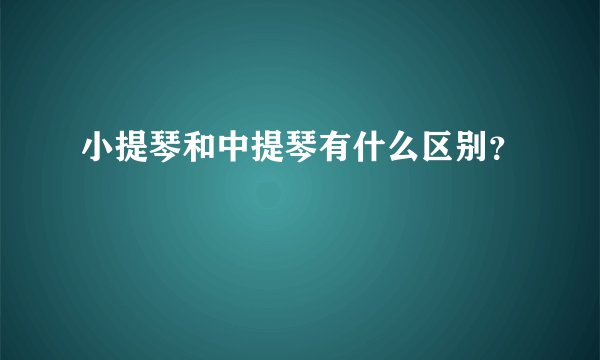小提琴和中提琴有什么区别？