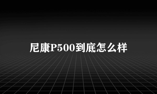 尼康P500到底怎么样