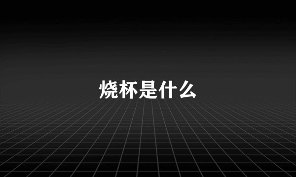 烧杯是什么