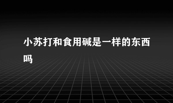 小苏打和食用碱是一样的东西吗