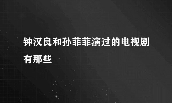 钟汉良和孙菲菲演过的电视剧有那些