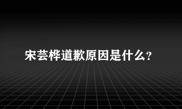 宋芸桦道歉原因是什么？