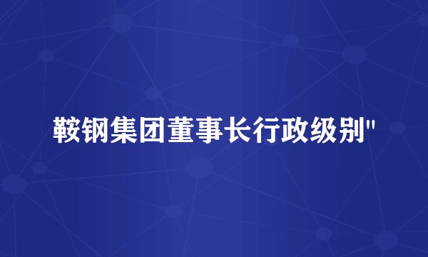 鞍钢集团董事长行政级别