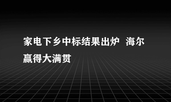 家电下乡中标结果出炉  海尔赢得大满贯