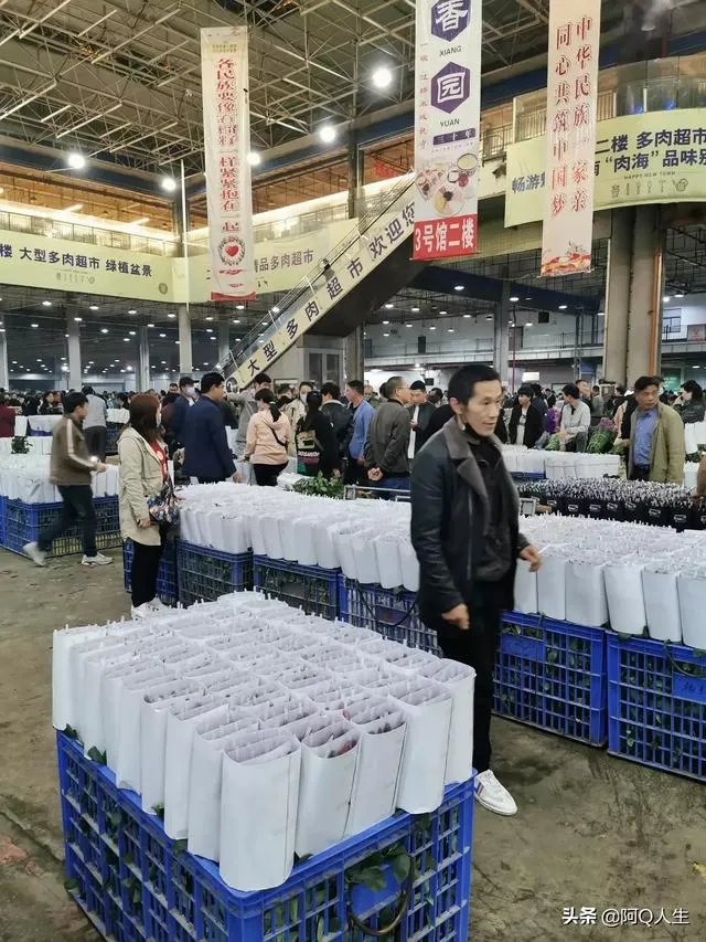 花卉批发一般去哪里呢?
