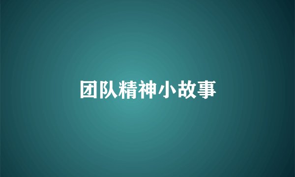 团队精神小故事