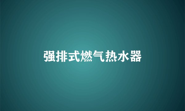 强排式燃气热水器