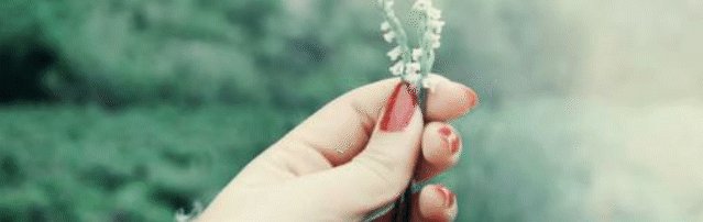 为什么说蔡琴的歌是音响发烧友的试音碟?
