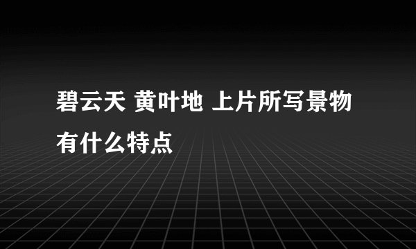 碧云天 黄叶地 上片所写景物有什么特点