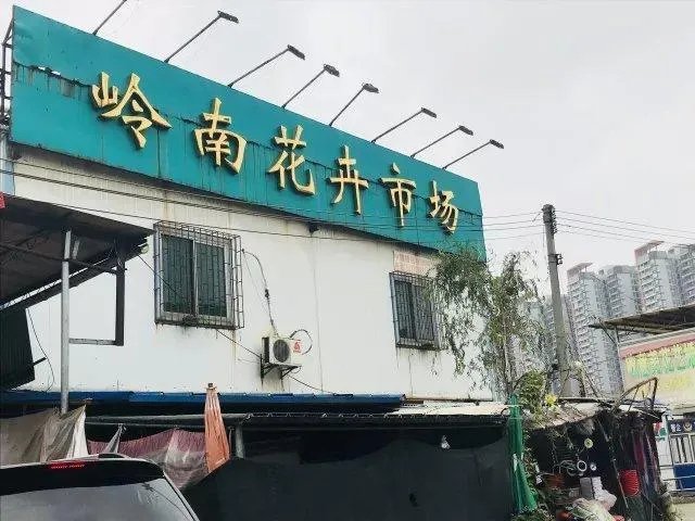 花卉批发一般去哪里呢?