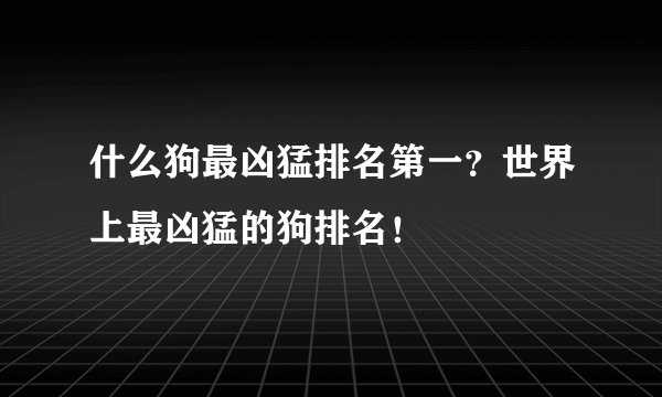 什么狗最凶猛排名第一？世界上最凶猛的狗排名！
